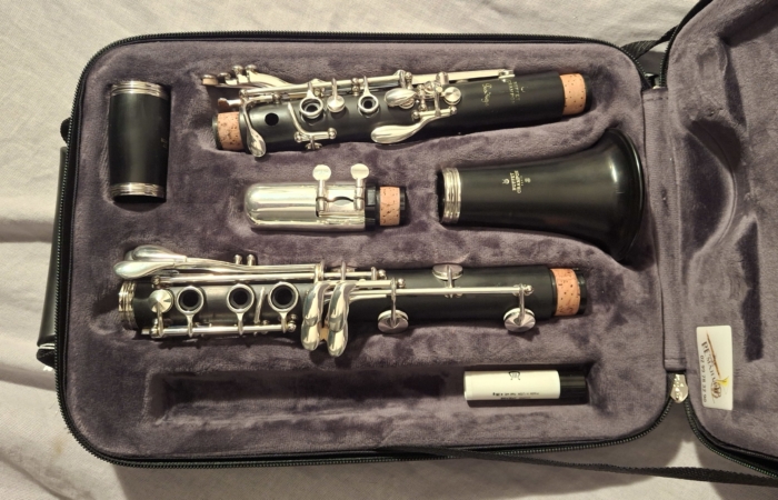 20251001_173110-1-e1759332959998_700x450_acf_cropped